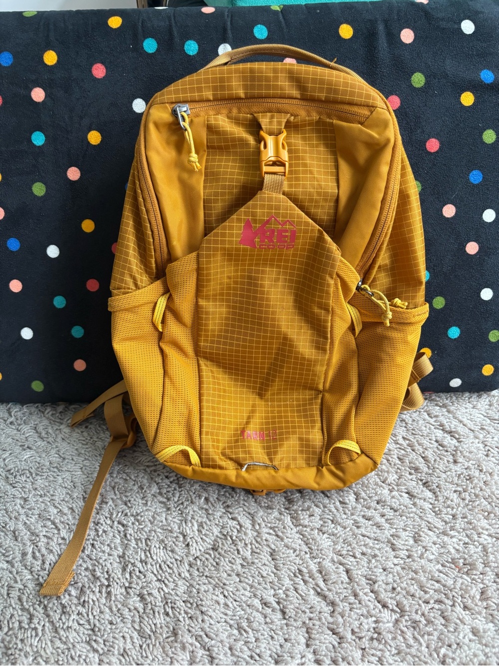 REI Tarn 12 kids hiking backpack